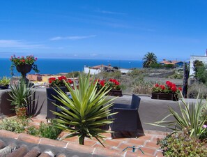 Apartment, 1 Bedroom, Smoking, Balcony | Terrace/patio