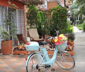 Bicycling - Bed & Breakfast Local Home (Medellín)