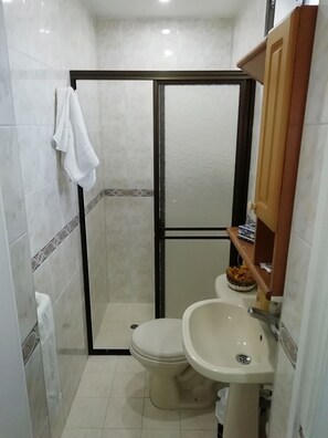 Shower, hydromassage showerhead, free toiletries, bidet