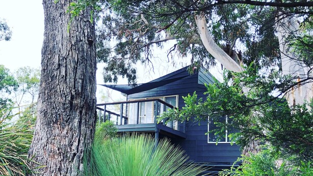 A modern house with a large tree in the foreground, surrounded by lush greenery. - Bush Hideaway (Binalong Bay)