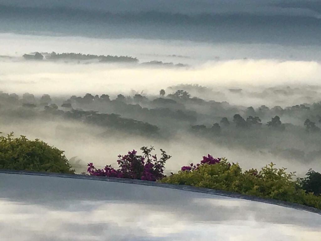 Un paysage avec une route qui serpente à travers une zone brumeuse, parsemée d’arbres et d’arbustes.