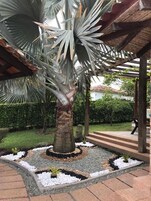 Casa Exclusive, camere multiple | Vista giardino