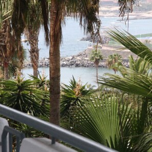 Apartment, 2 Bedrooms, Balcony, Ocean View | Property grounds - 2 Br Aprt Ocean View (Adeje)