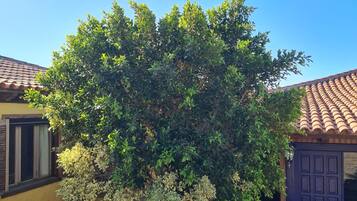 Villa, 5 Bedrooms, Accessible, Smoking | Pemandangan dari hartanah