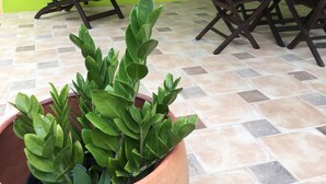 Un patio con una pared verde, una mesa redonda y cuatro sillas de madera.