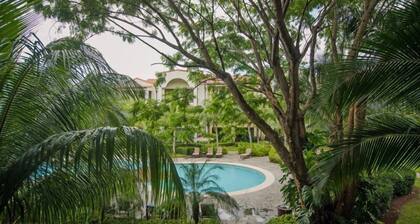 Pacifico L605 Casa Sommer