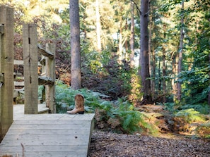 Property grounds - Escape to our secluded woodland yurt for ultimate off-grid relaxation. (Black Hill, near Crowborough)