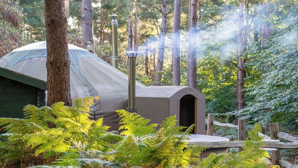 Property grounds - Escape to our secluded woodland yurt for ultimate off-grid relaxation. (Black Hill, near Crowborough)
