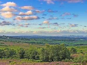 Miscellaneous - Escape to our secluded woodland yurt for ultimate off-grid relaxation. (Black Hill, near Crowborough)