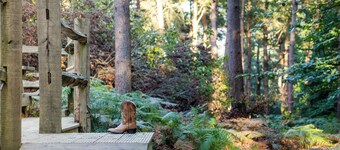 1 slaapkamer accommodatie in Black Hill, near Crowborough