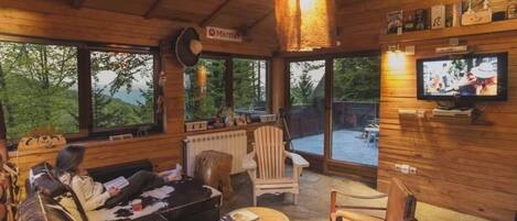 TV connectée, cheminée, jeux vidéo, lecteur de DVD