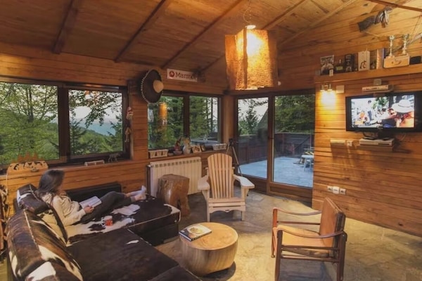 Smart TV, fireplace, video games, DVD player