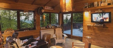 Smart TV, chimenea, videojuegos, reproductor de DVD