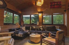 TV connectée, cheminée, jeux vidéo, lecteur de DVD