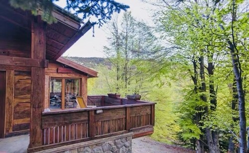 Deluxe Mountain Ski Villa à Kopaonik, Serbie