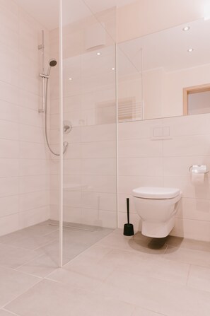 Douche, séchoir à cheveux, serviettes fournies, savon