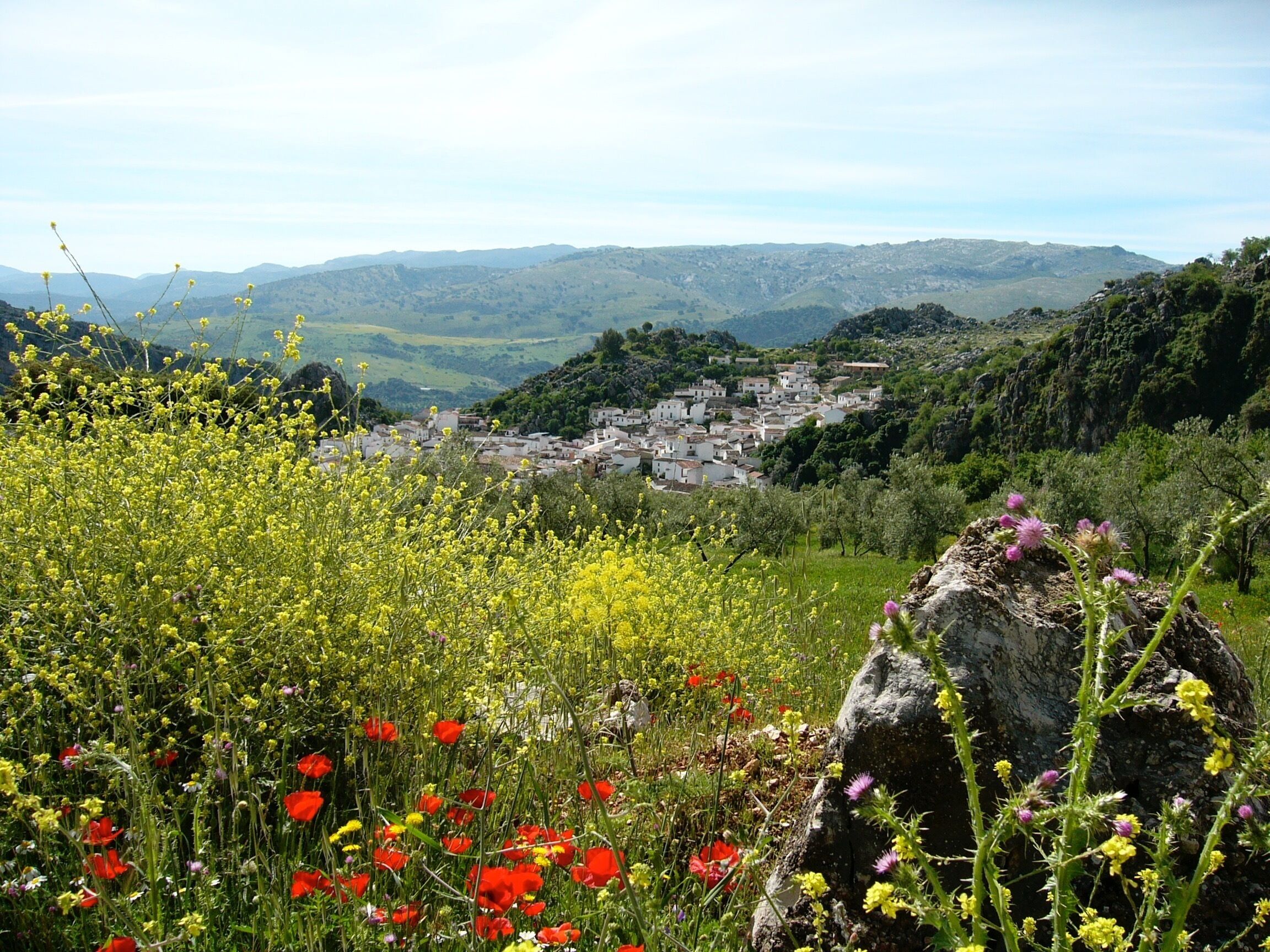 Un paysage rural avec un village niché dans la vallée, entouré de collines et de champs de fleurs sauvages.