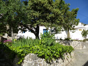 Exterior - PUERTA AZUL - Casa Rural - Sierra de Grazalema - Ronda (Montejaque)