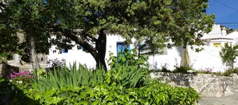 PUERTA AZUL - Casa Rural - Sierra de Grazalema - Ronda