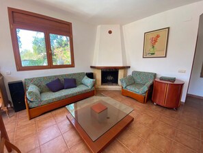 TV, fireplace, DVD player