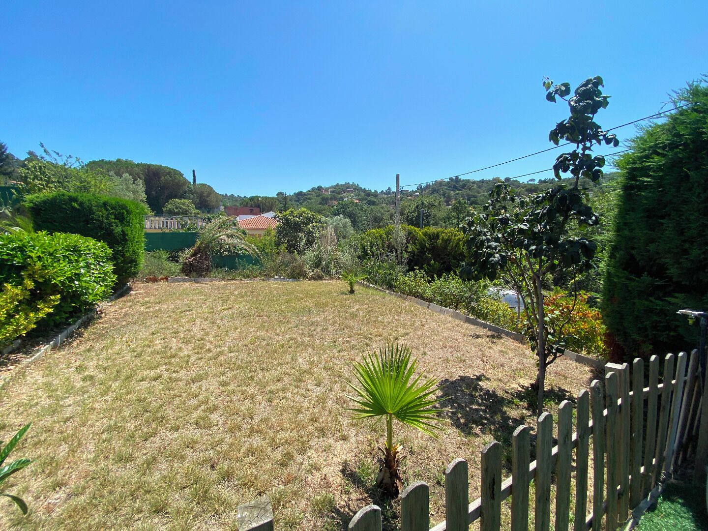 A well-maintained garden with a variety of plants and a wooden fence.