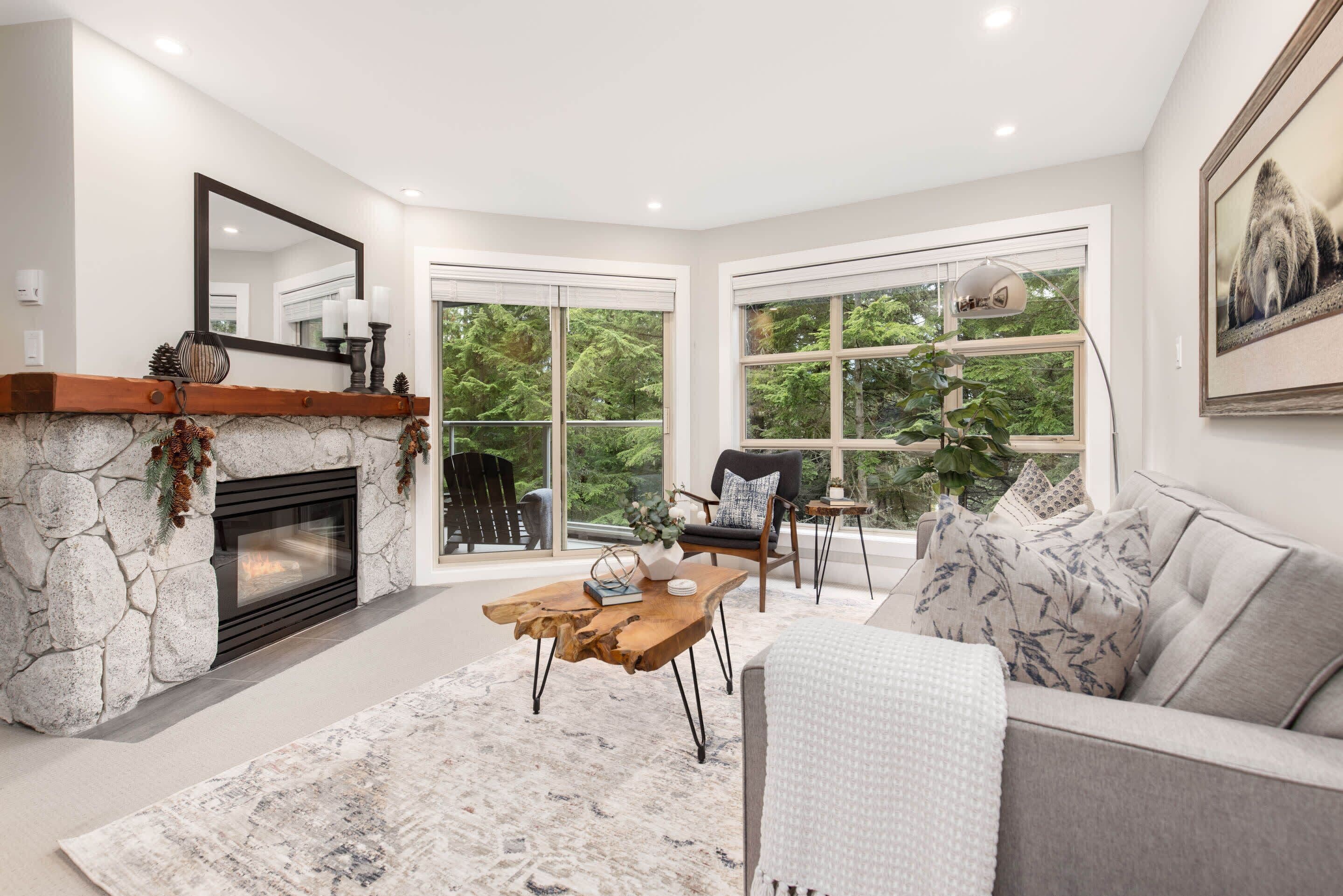 Smart TV, fireplace, books, video library