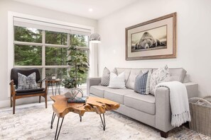 Smart TV, fireplace, books, video library