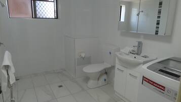 Combined shower/bathtub, free toiletries, hair dryer, bidet