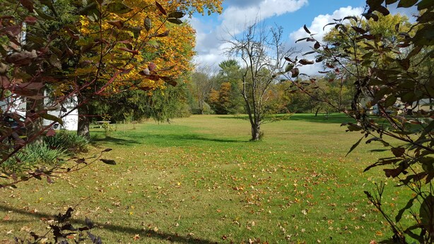 A grassy park with trees and a bench. - Cozy Cottage close to the Lake (Harbert)