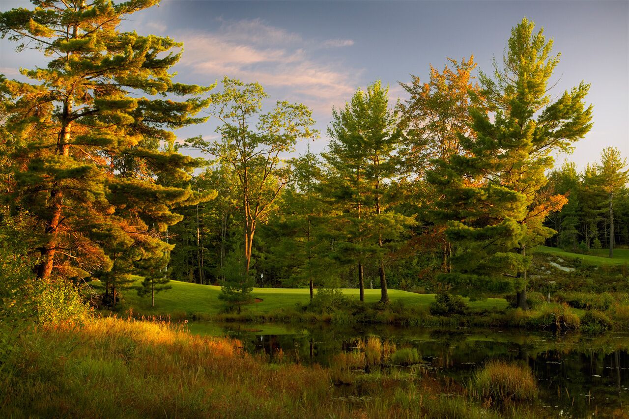 A serene landscape with a pond, trees, and a grassy area.