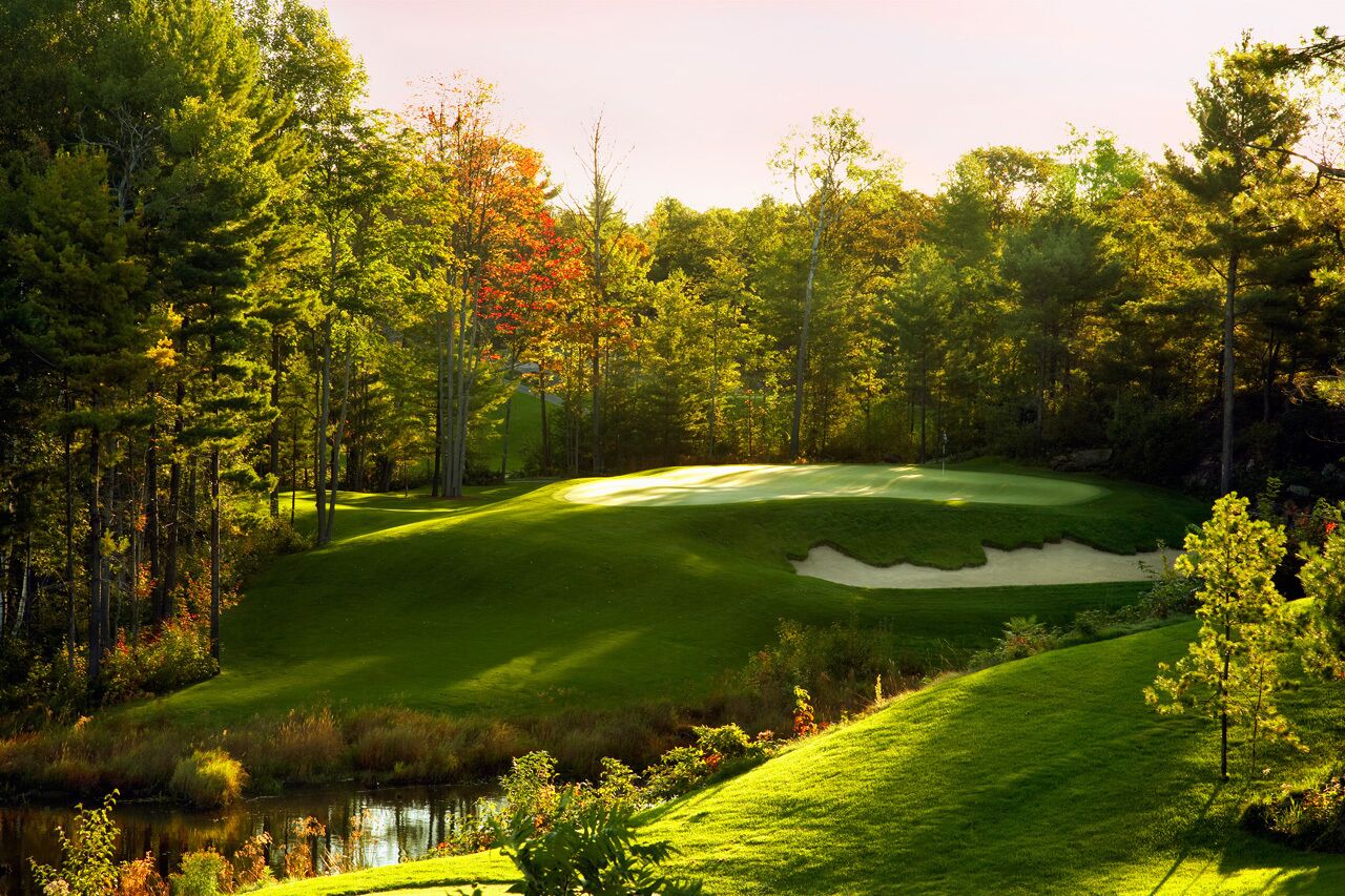 A golf course with a pond, surrounded by trees and a clear sky.
