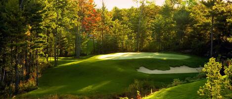 A golf course with a pond, surrounded by trees and a clear sky.