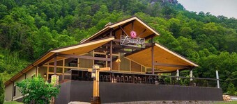 Newer home in historic Hendersonville.  Near Asheville and Blue Ridge Parkway!