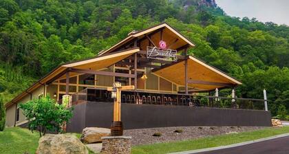 Newer home in historic Hendersonville. Near Asheville and Blue Ridge Parkway!