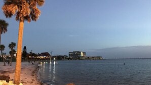 Una playa con palmeras y un edificio al fondo.