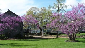 A residential area with a well-maintained lawn, a wooden deck, and a house with a chimney. - Relaxing Suite Steps to Table Rock, Near Big Cedar, Community Hot Tub & Free Daily Tickets (Hollister)