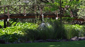 A wooden bridge over a pond with lush greenery and rocks. - Hamilton Lakeside Motel (Hamilton)