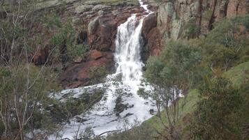 A waterfall cascading down a rocky cliff surrounded by dense vegetation.
