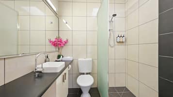 Deluxe Apartment | Bathroom | Designer toiletries, hair dryer, towels, soap