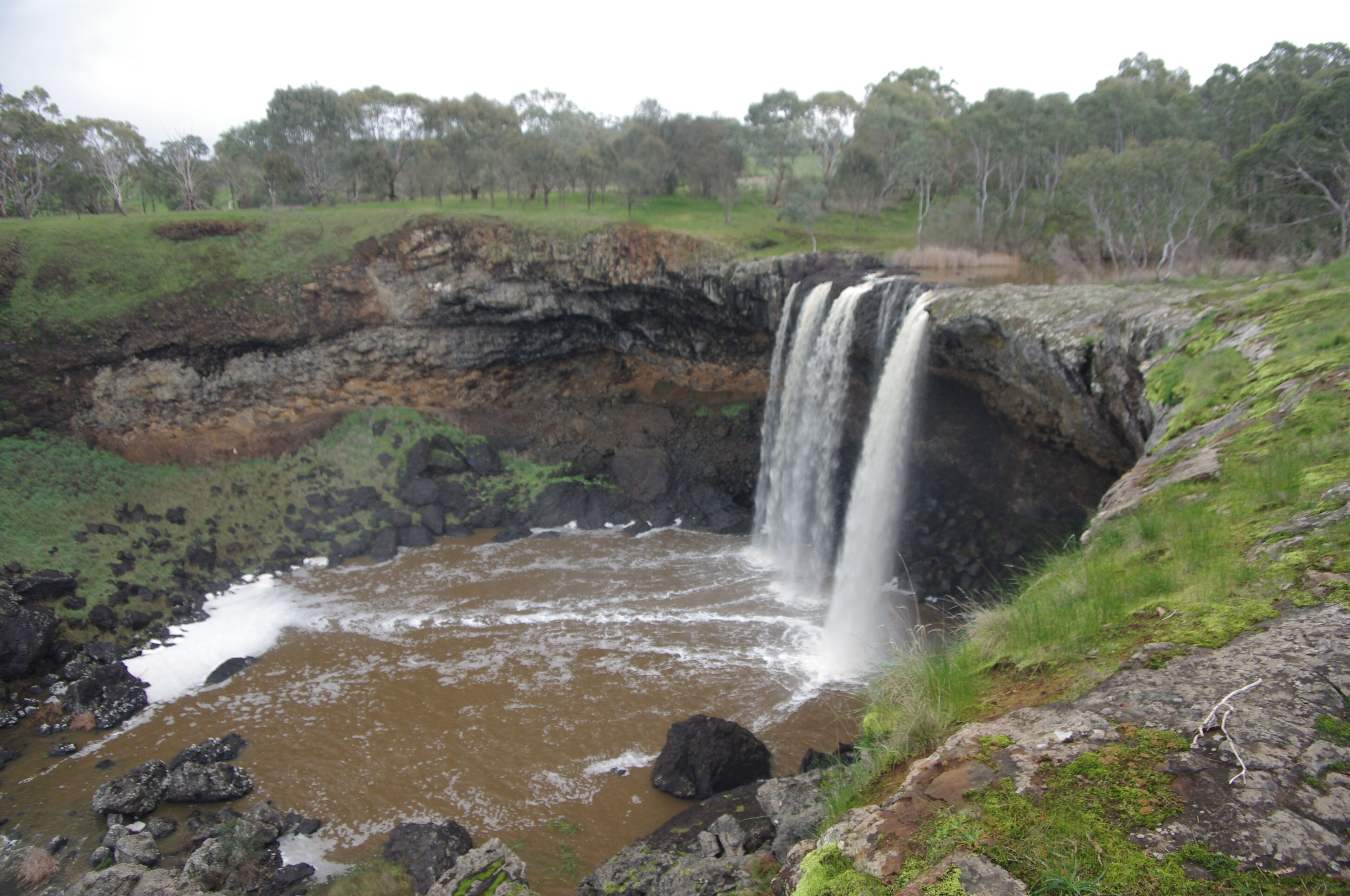 Una cascata che si getta in una pozza rocciosa, circondata da terreno erboso e alberi.