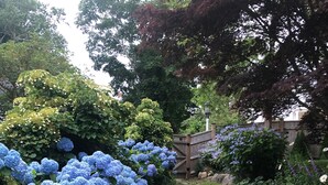 Een pad van stenen, omzoomd door weelderige hortensia's en diverse tuinplanten.
