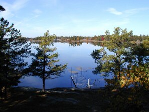 Unclassified image, 2 of 7, button