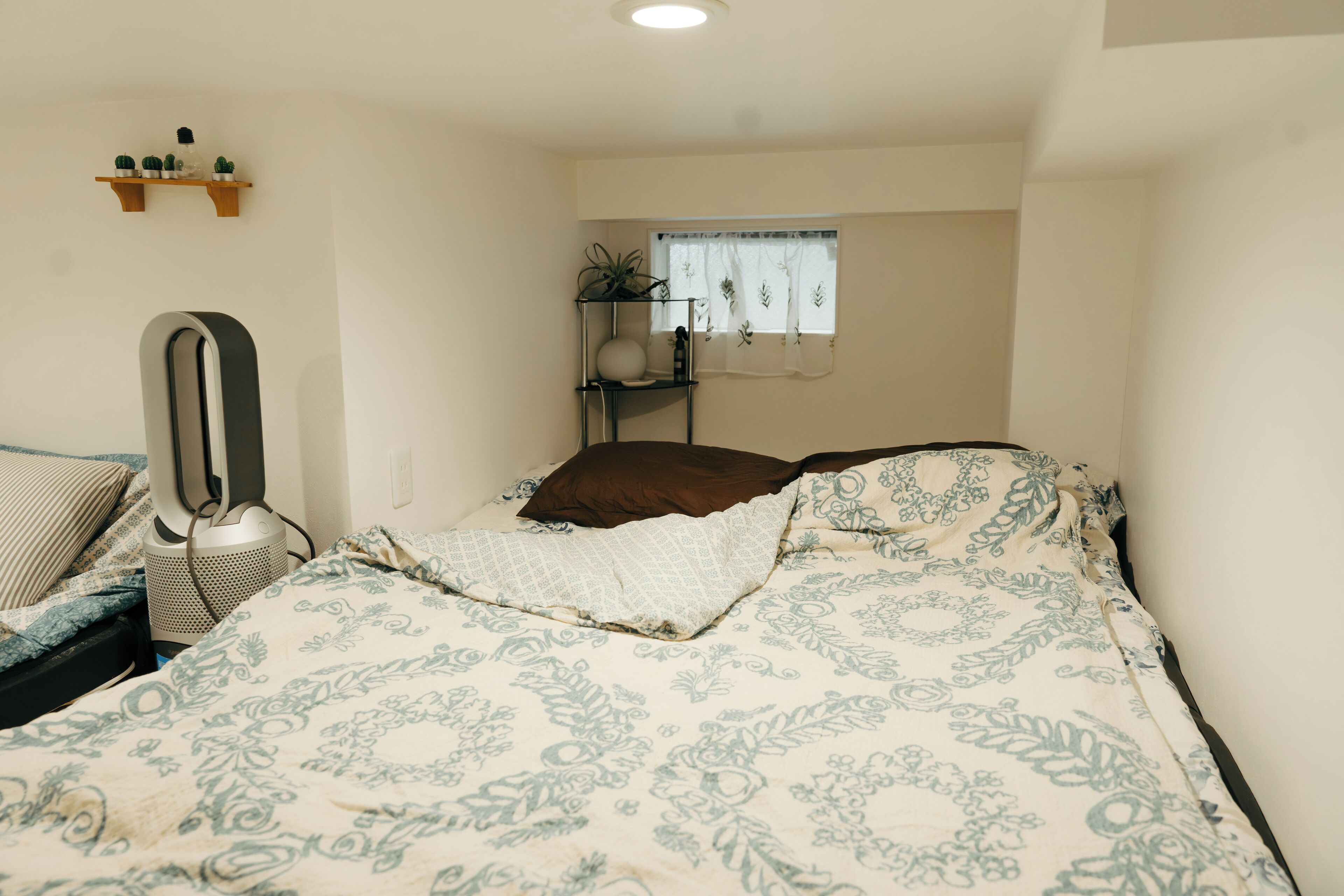 A bedroom with a bed, a bedside table, a mirror, a shelf with plants, and a window with curtains.