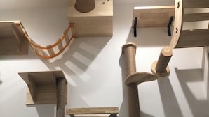 Una habitación con varios árboles para gatos y rascadores de madera dispuestos en la pared.