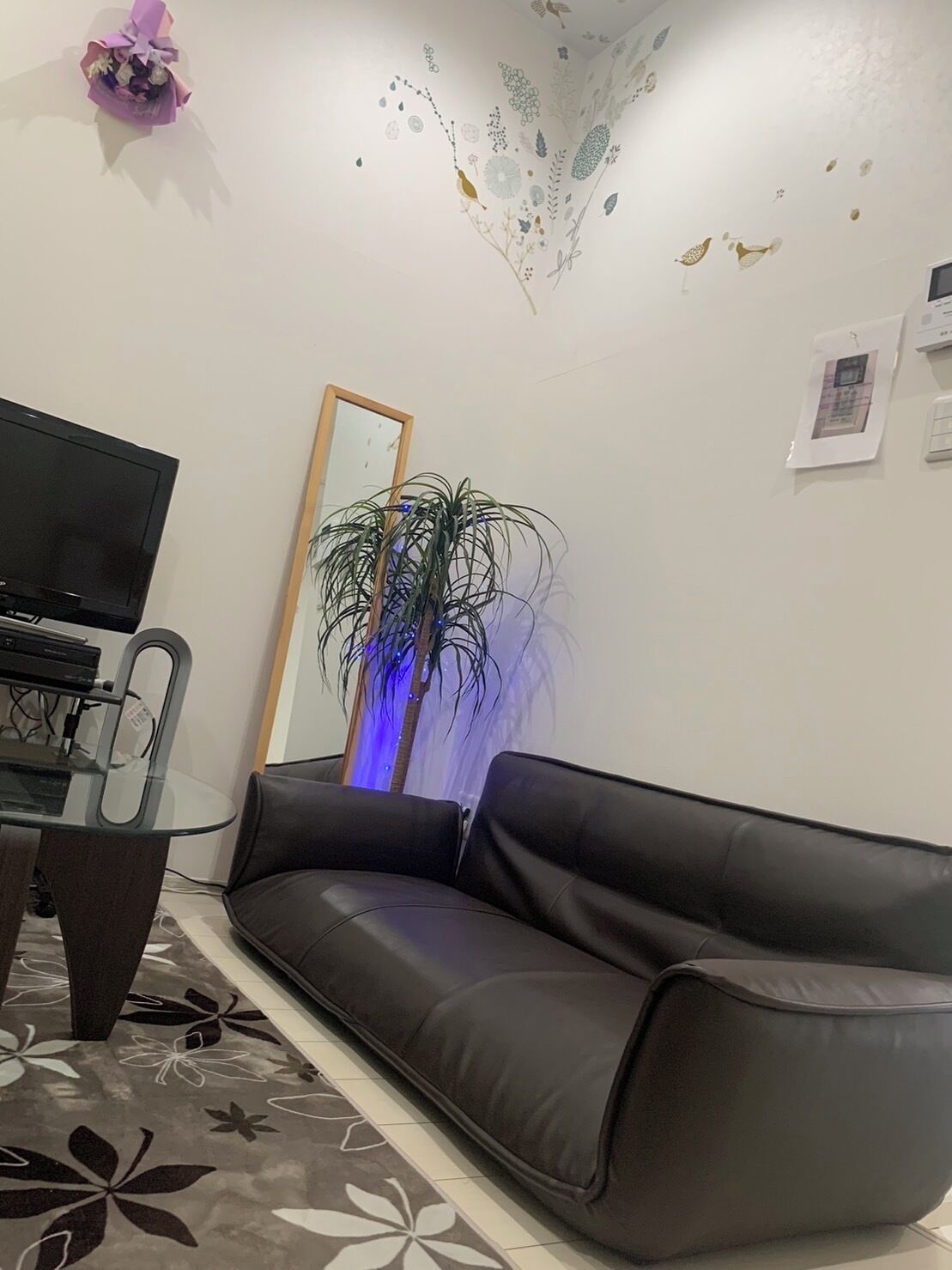 A living room with a black leather sofa, a glass coffee table, a flat-screen TV, a potted plant with blue lighting, and a wall with floral and bird decals.