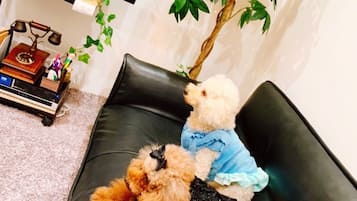 寵物友善