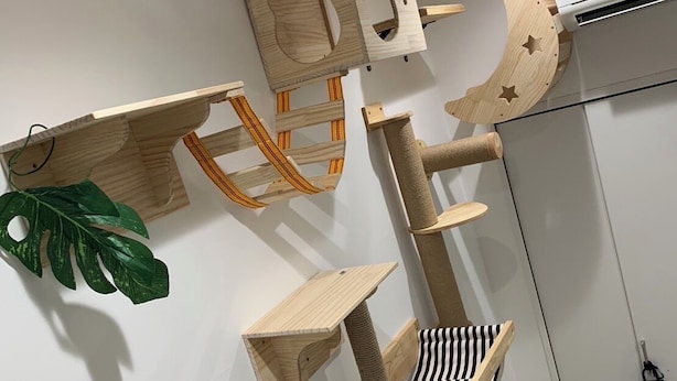Una habitación con pared blanca, un rascador de madera para gatos, un aire acondicionado blanco y una puerta con cerradura.