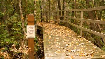 Kabin Comfort | Seprai linen