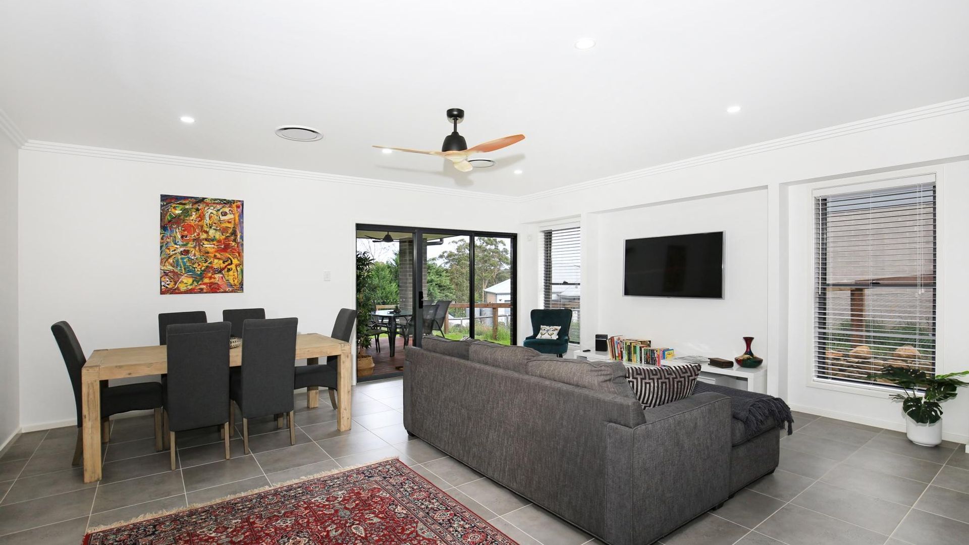 Televisión, Netflix, reproductor de DVD y libros 