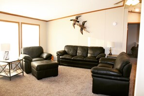 TV connectée, cheminée, lecteur de DVD, vidéothèque